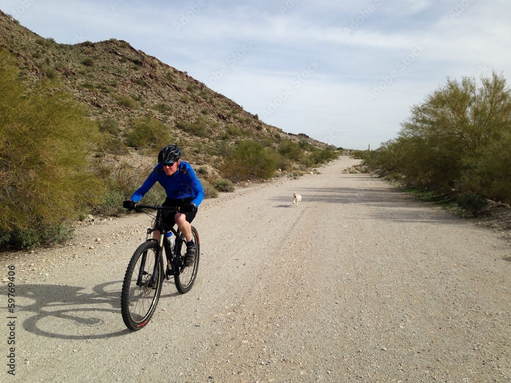 Fototapeta premium Mountain Bike Rider