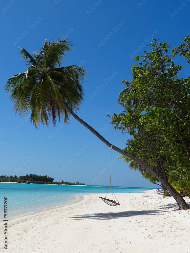 plage hamac maldives Stock Photo | Adobe Stock