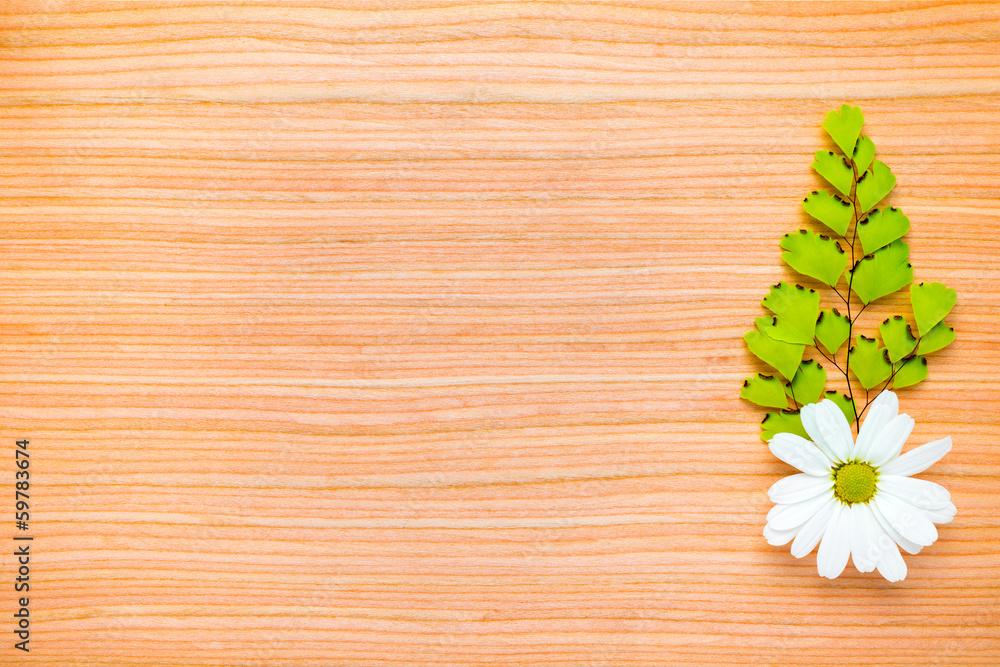 one green branch and chamomile on wooden background one green branch and chamomile on wooden background