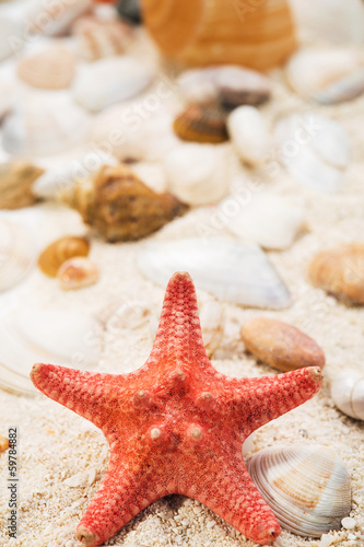 Red starfish on sand