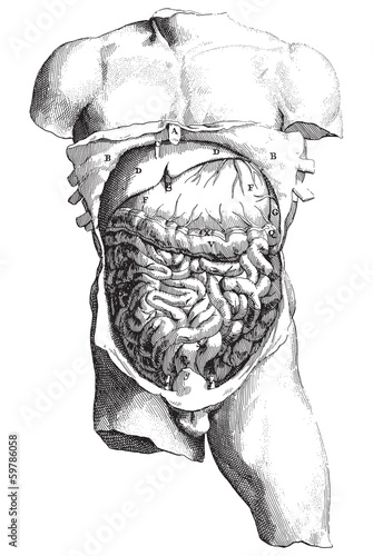Internal body engraving