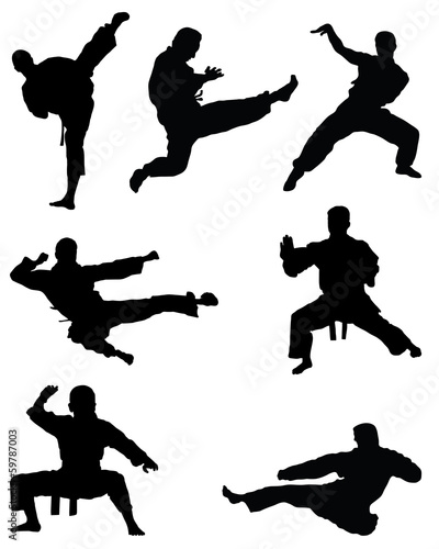 Black silhouettes of karate, vector