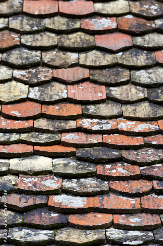 Alte Biberschwanz-Dachpfannen als Textur Alte Biberschwanz-Dachpfannen als Textur