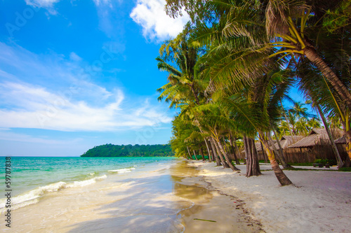 beautiful beach and tropical sea. Palm and tropical beach