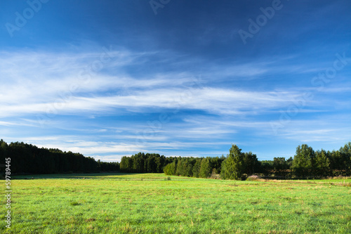 Foto tranquil landscape photo of meadow at sunrise