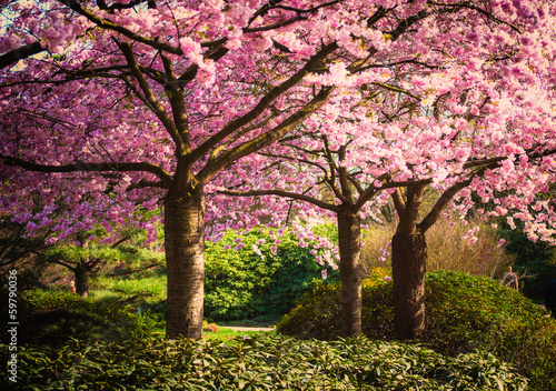 Fotografie, Tablou Colors of spring