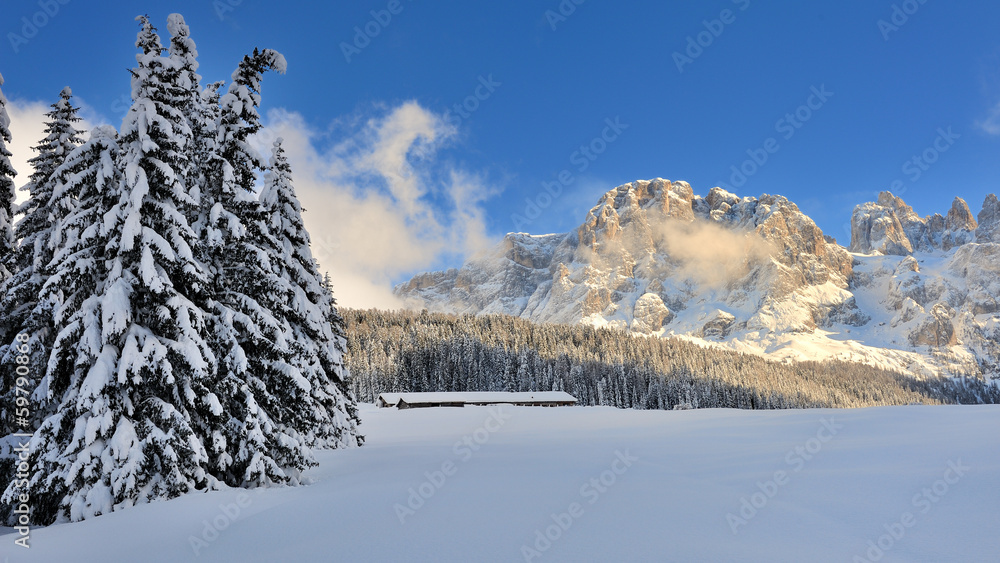 Dolomiti, Pale di San Martino - Val Venggia, Italy Dolomiti, Pale di San Martino - Val Venggia, Italy