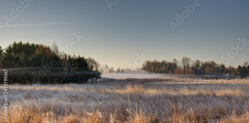 Misty meadow © dfaagaard