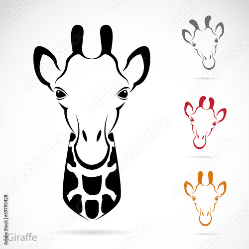 Vector image of an giraffe head
