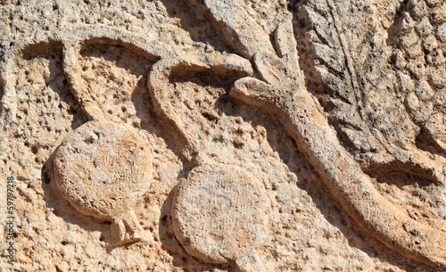 Pomegranate Carved on Limestone, Jerash