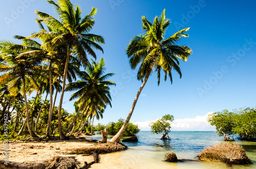 Caribbean: Lonely beach :)