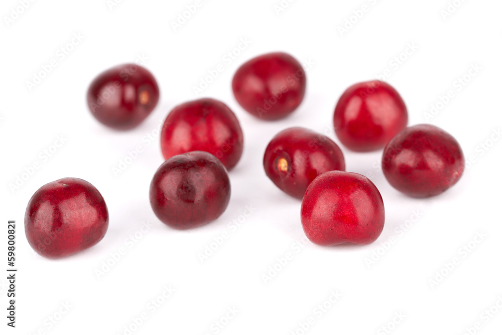 sweet cherry sweet cherry