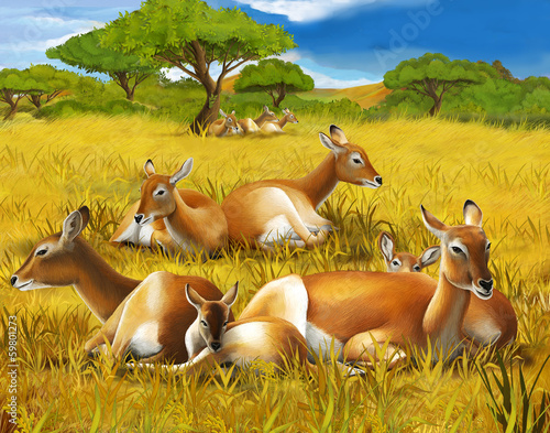 Safari- koba lychee - illustration for the children photo