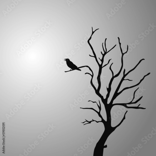 rabe auf baum