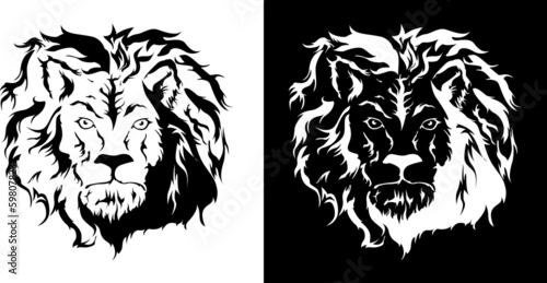 Lion Vector