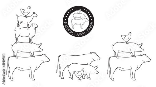 Animals Pyramide, natural, farm,  fresh