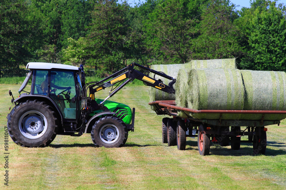 Obraz premium Landwirtschaft