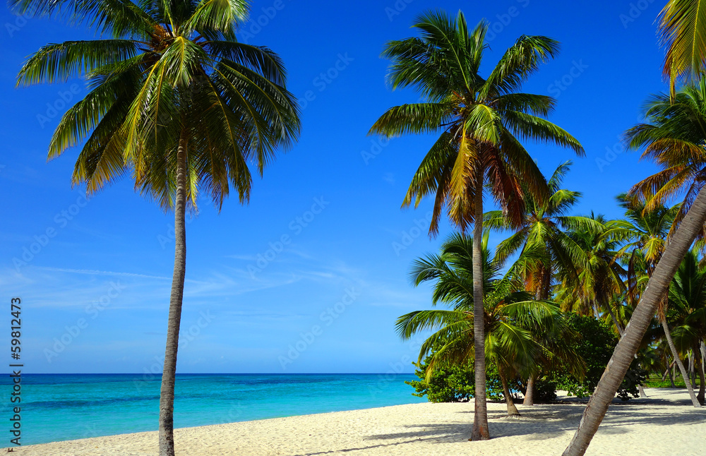 Plage des Caraïbes