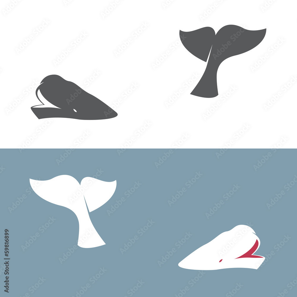 Naklejka premium Grafika wektorowa wieloryba