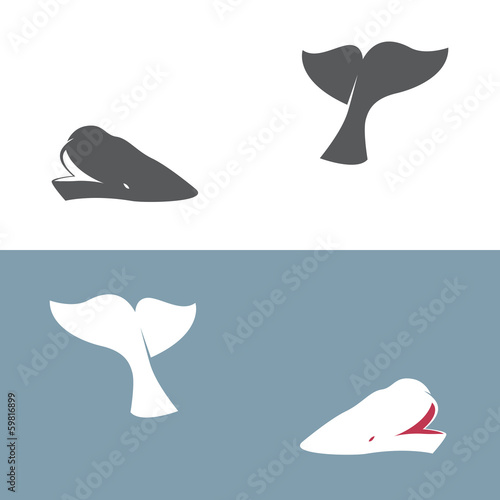 Vector image of an whale