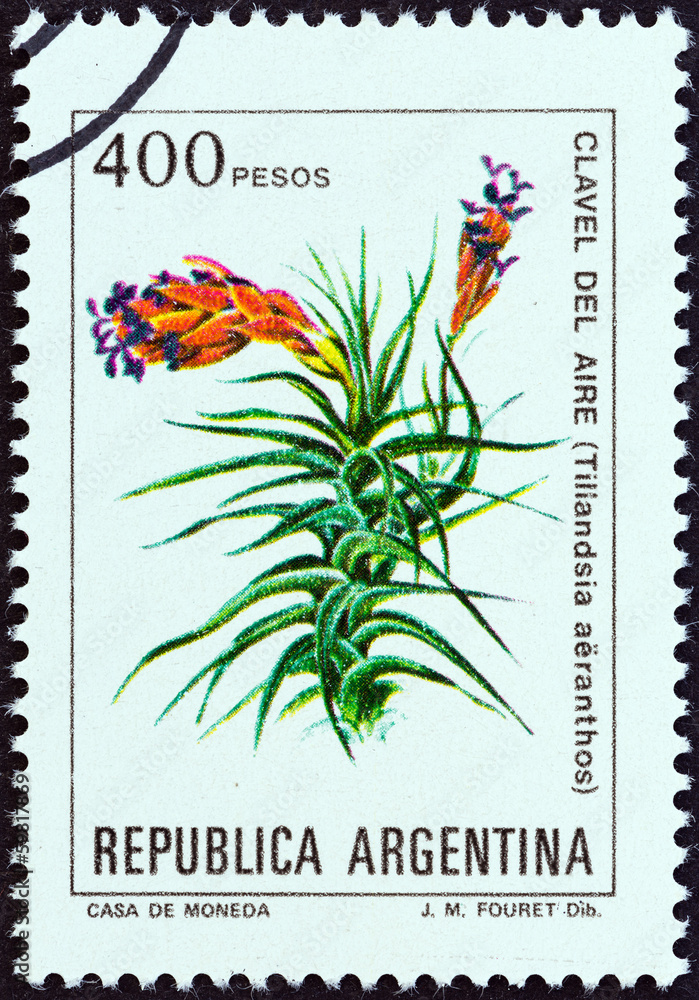 Tillandsia aeranthos (Argentina 1982) Tillandsia aeranthos (Argentina 1982)