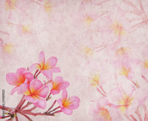 frangipani or plumeria tropical flower with old grunge antique p © xiaoliangge