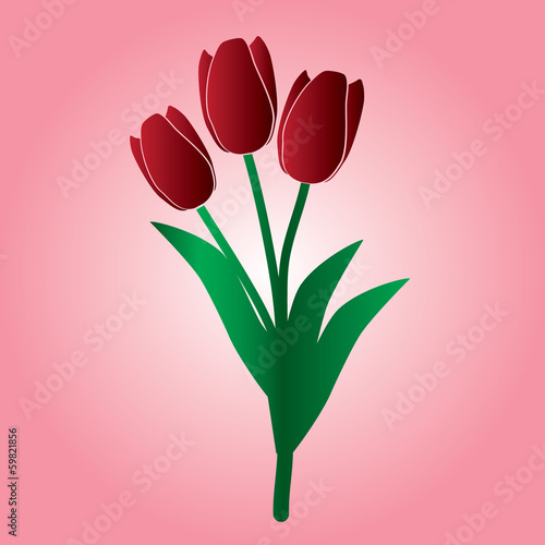 red tulip flower eps10