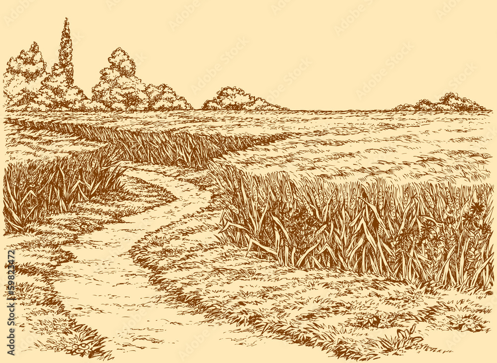 Поле рисунок. Графический пейзаж карандашом. Поле нарисованное карандашом. Поле нарисованное карандашом. Набросок пейзажа пшеничного поля.