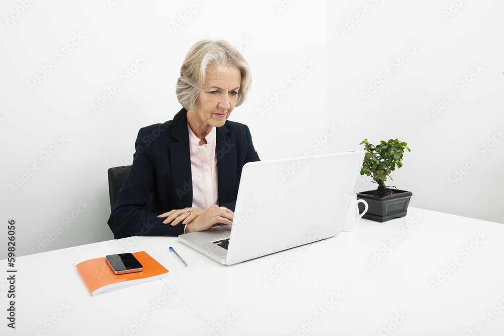 Senior businesswoman using laptop at desk in office Senior businesswoman using laptop at desk in office