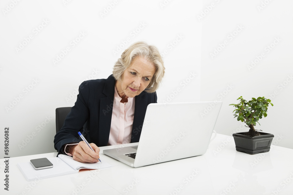 Senior businesswoman writing in book while using laptop at desk in office Senior businesswoman writing in book while using laptop at desk in office