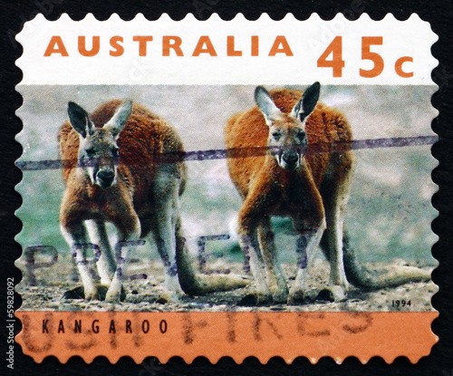 Postage stamp Australia 1994 Kangaroo, Marsupial Mammal