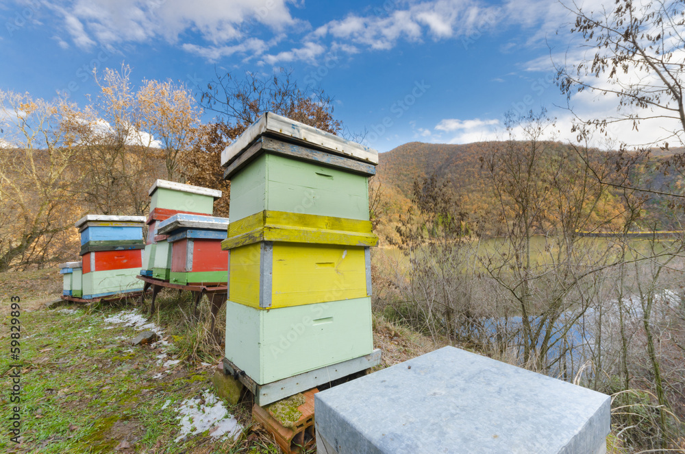 Honey bee hives box near the lake on the blue sunny sky. Honey bee hives box near the lake on the blue sunny sky.
