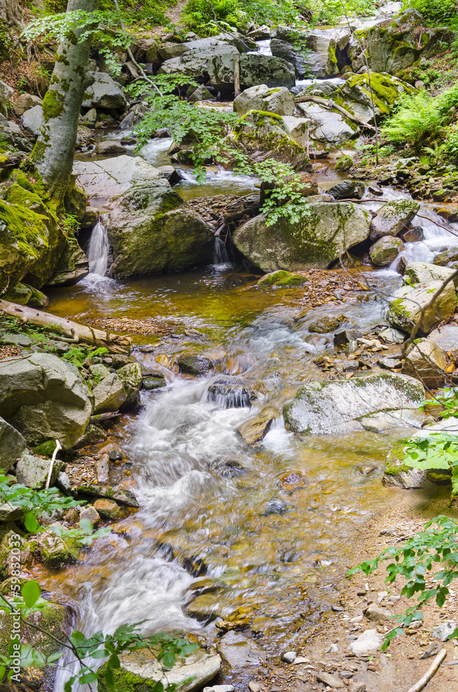 fall forest stream of ecology clean environment, Macedonia fall forest stream of ecology clean environment, Macedonia