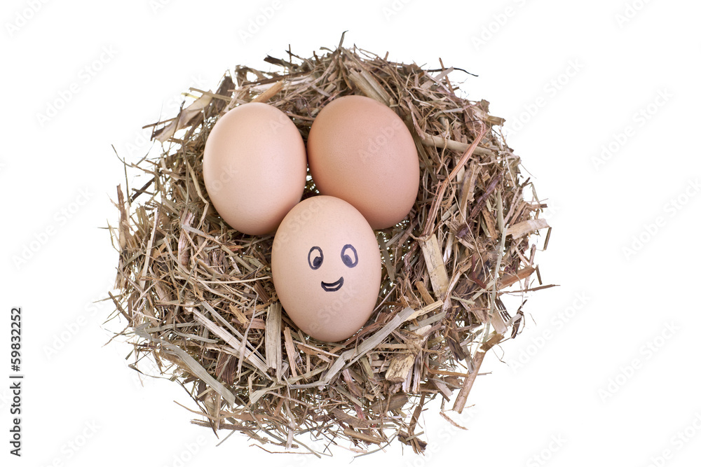 Happy brown eggs Happy brown eggs