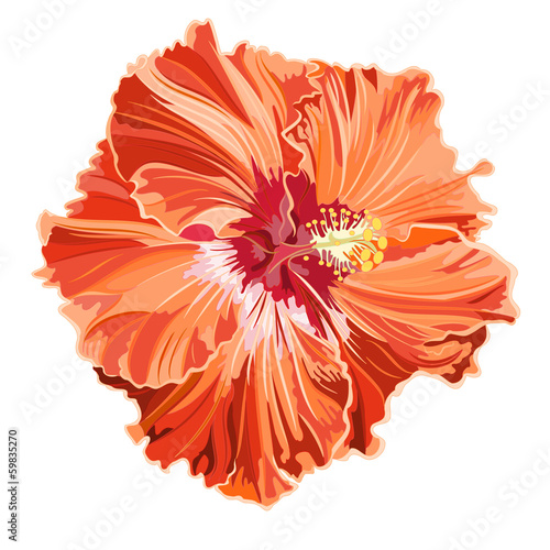 Orange hibiscus simple corrugated