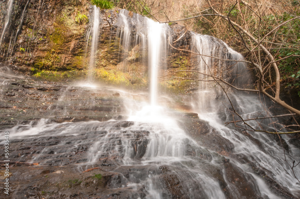 Fototapeta premium 滝