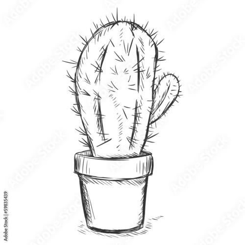 vector sketch illustration - cactus in a pot