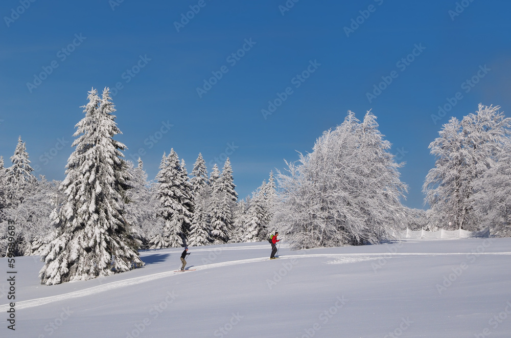 Fototapeta premium skieurs de fond