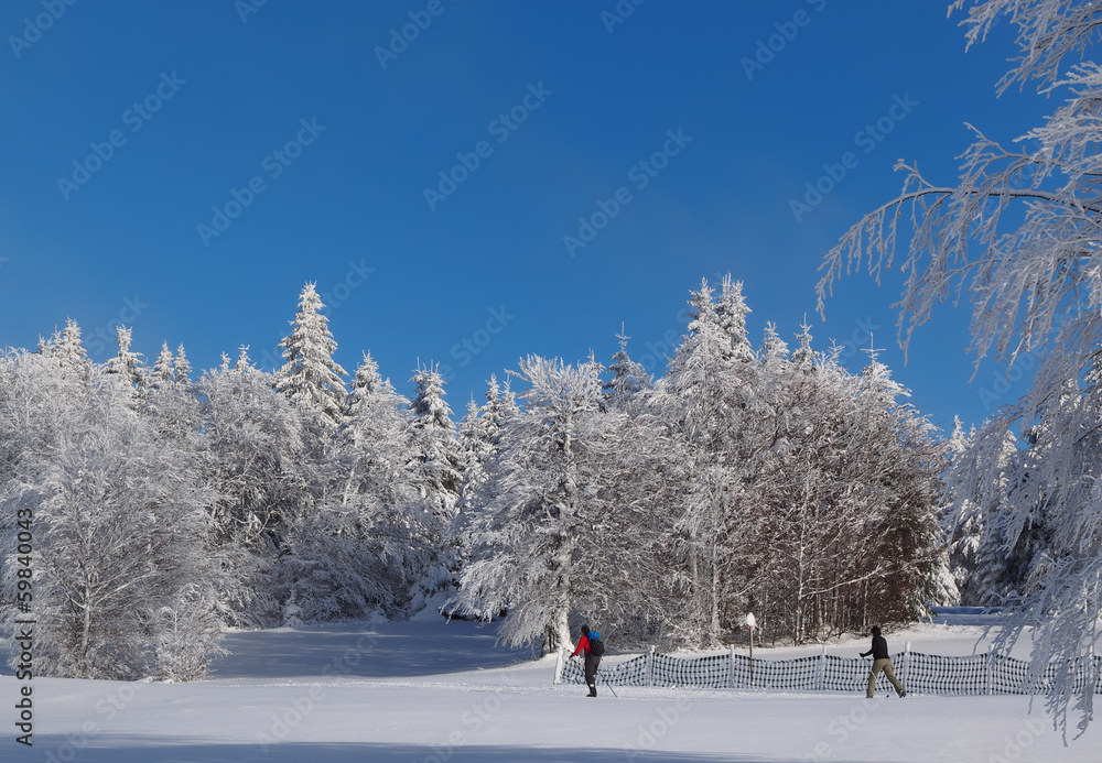 skieurs de fond skieurs de fond