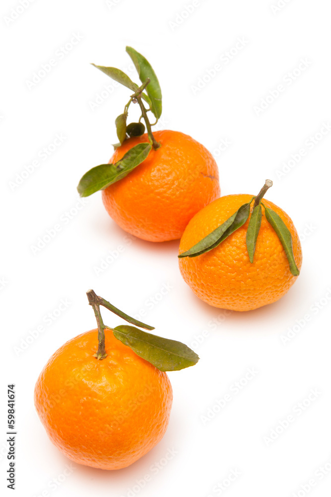 Clementine's isolated on a white studio background. Clementine's isolated on a white studio background.
