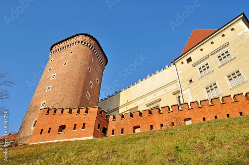Wawel Royal Castle #59845230