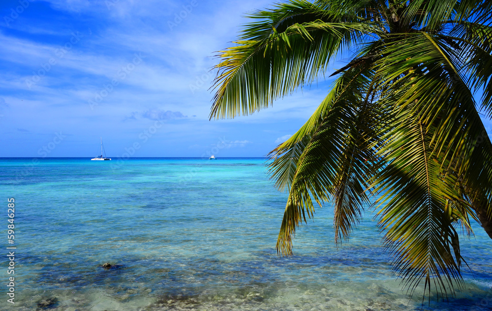 Naklejka premium Page des Caraïbes