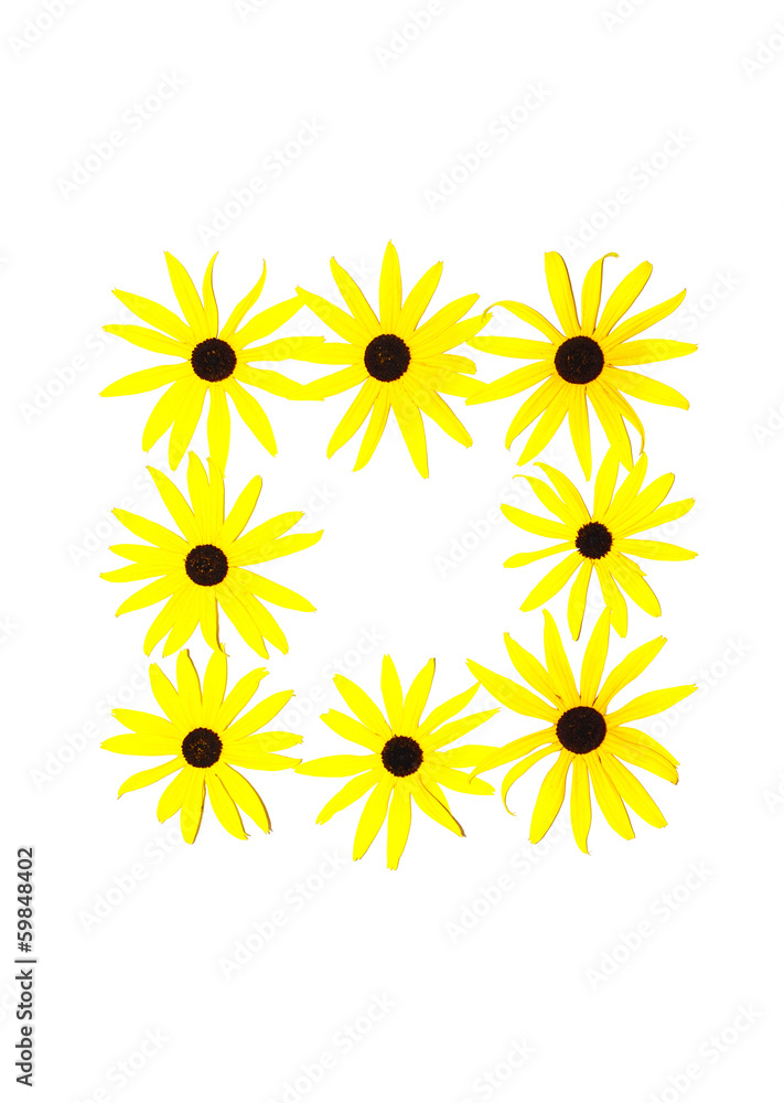 Naklejka premium Rahmen aus Blumen