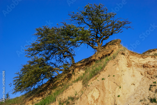 Erodierter Steilhang photo