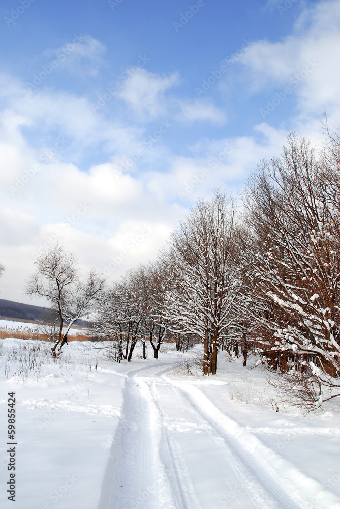 Fototapeta premium Winter landscape