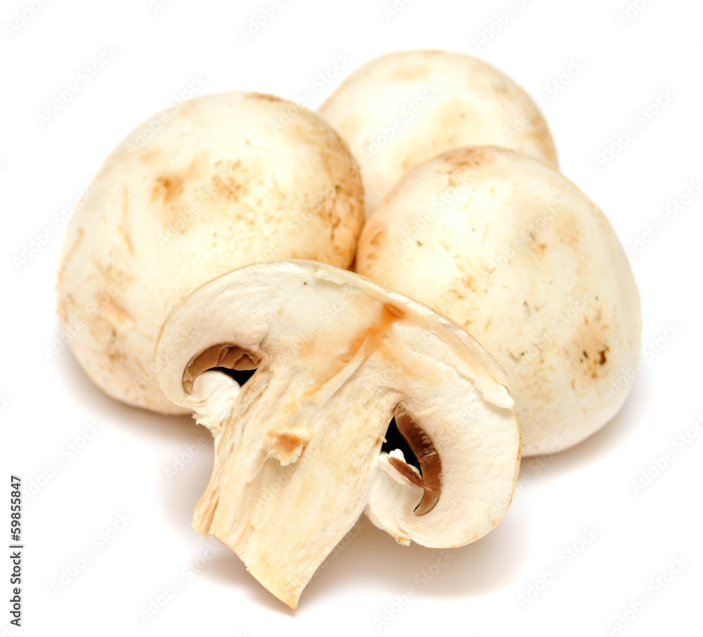 Fototapeta premium Champignon mushroom