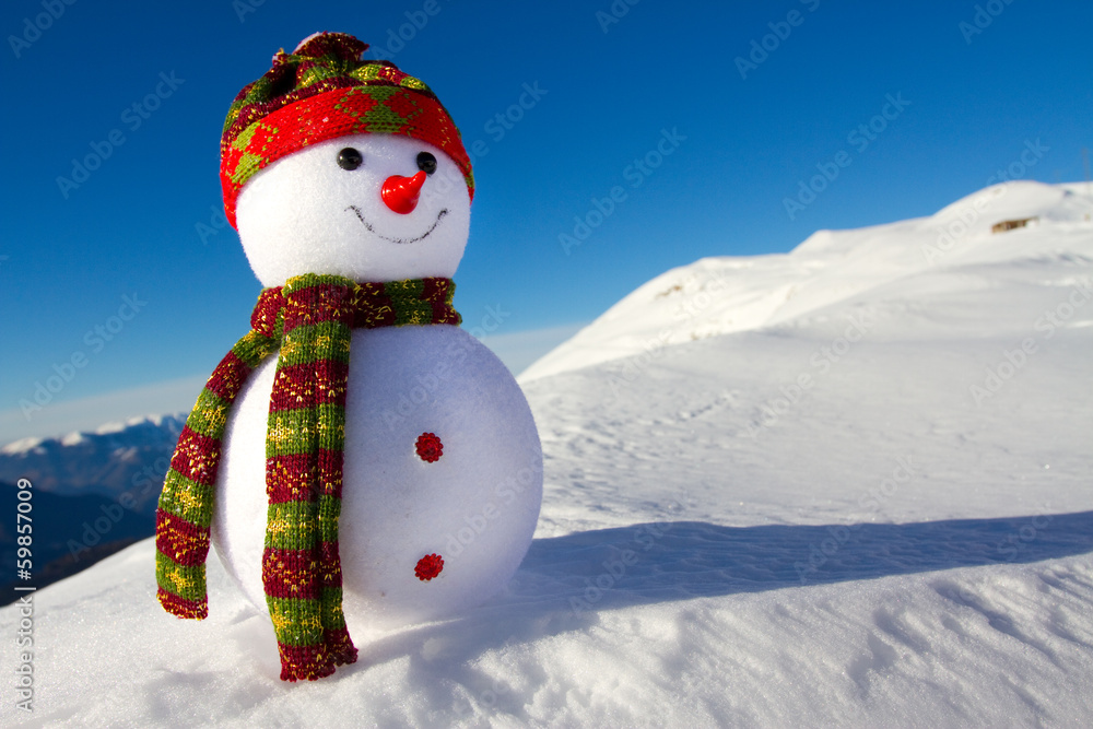 Obraz premium Snowman in e snow