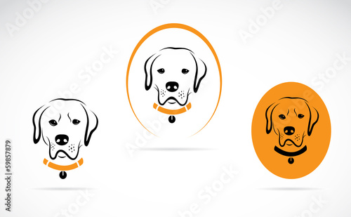 Vector image of an dog labrador