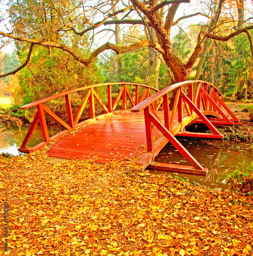Nice autumnal scene