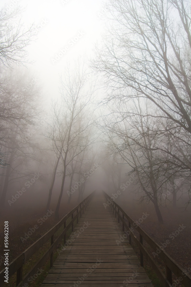 Bridge in fog Bridge in fog